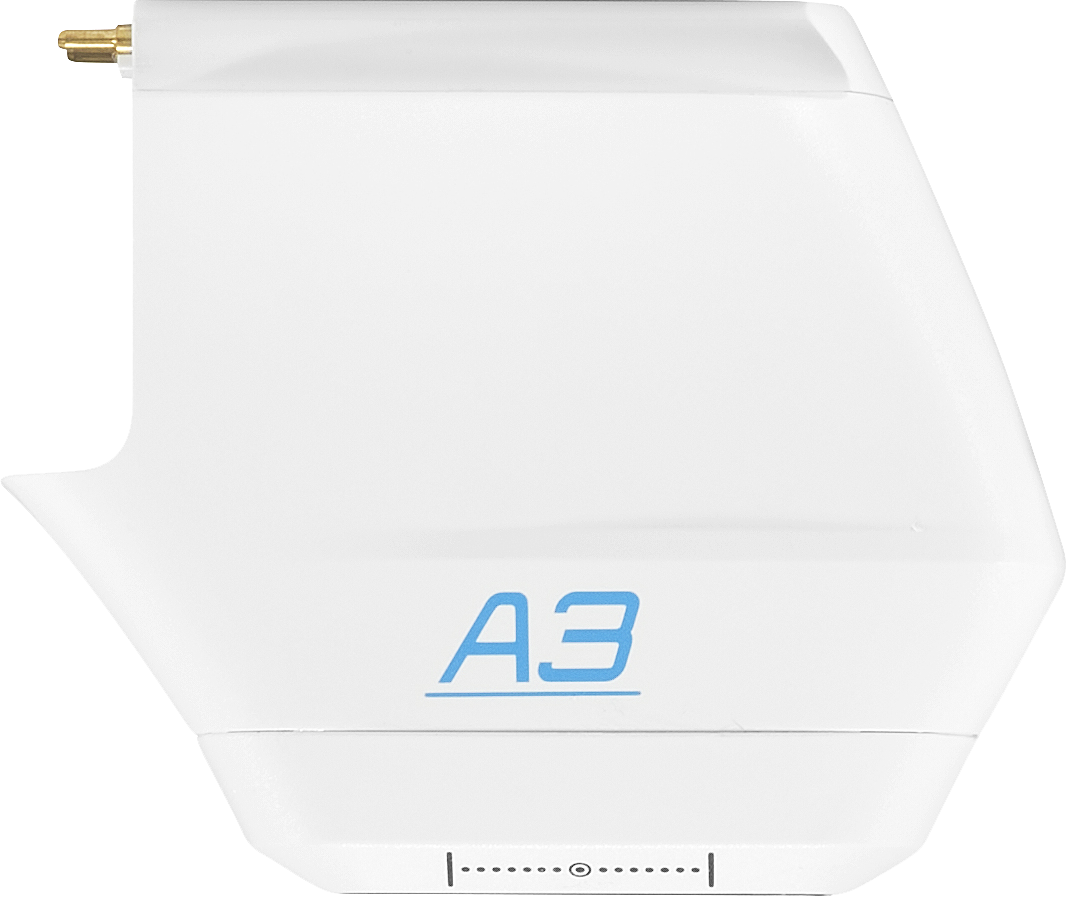 A3